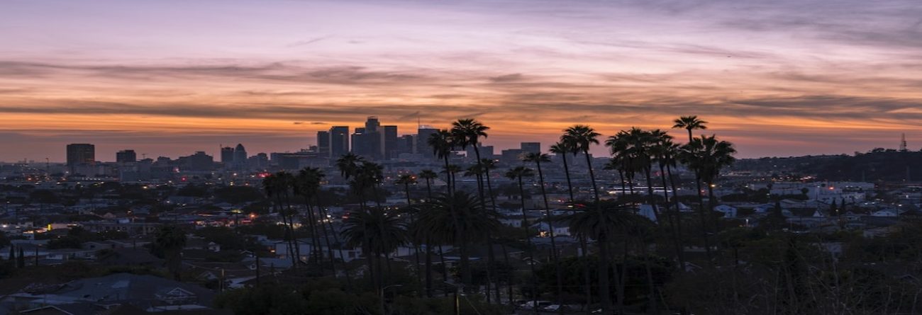 Country, United States, Travel destination, los angeles, palm trees, skyscrapers