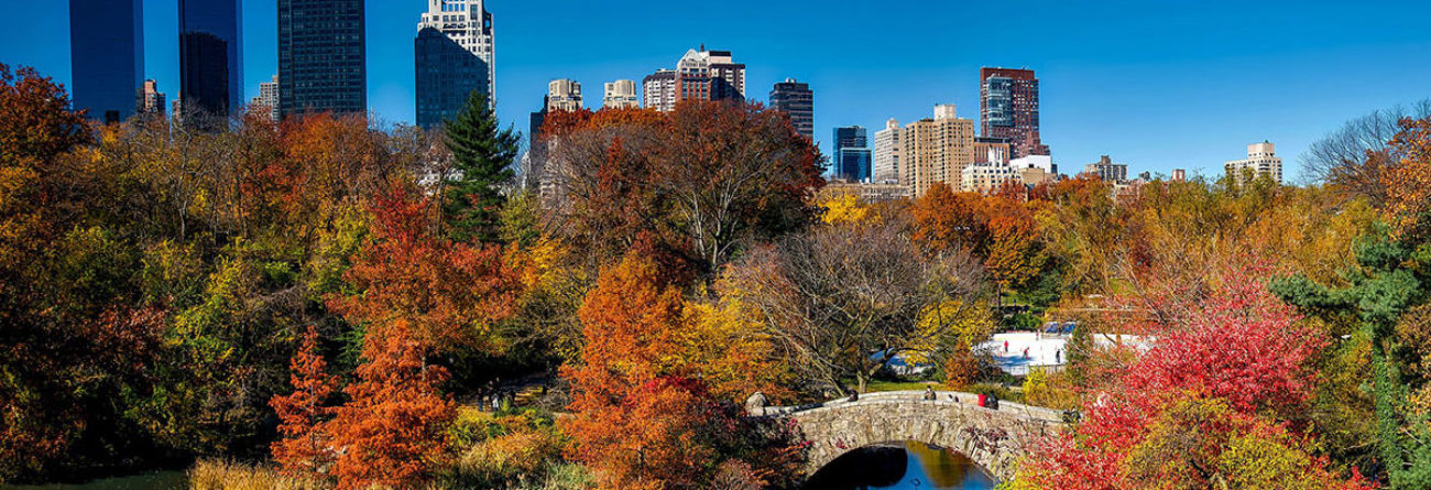 central park, central park fall, autumn in central park, central park lake