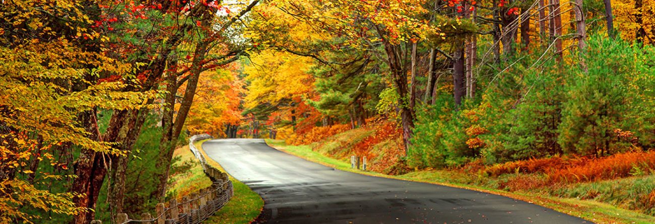 road in the fall, fall foliage, fall leaves, new england in the fall